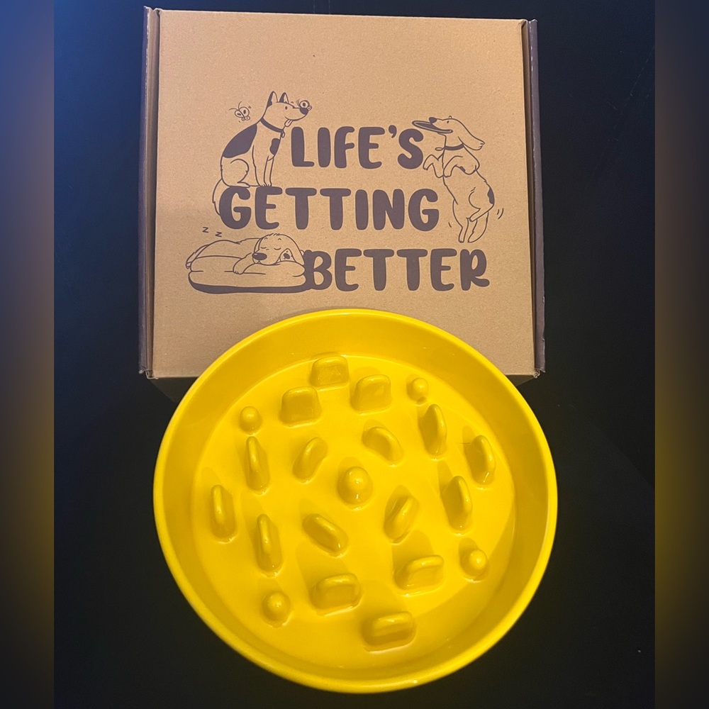 1.5 cup slow feeder dog bowl